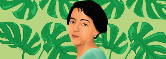 Anita Malfatti - Pintora pioneira da Arte Moderna brasileira