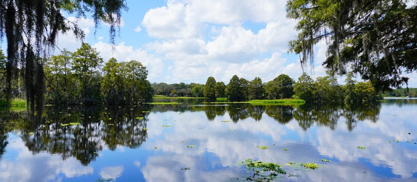Lush cypress trees draped in Spanish moss reflecting over the calm Hillsborough river in Florida, under a partly cloudy blue sky.