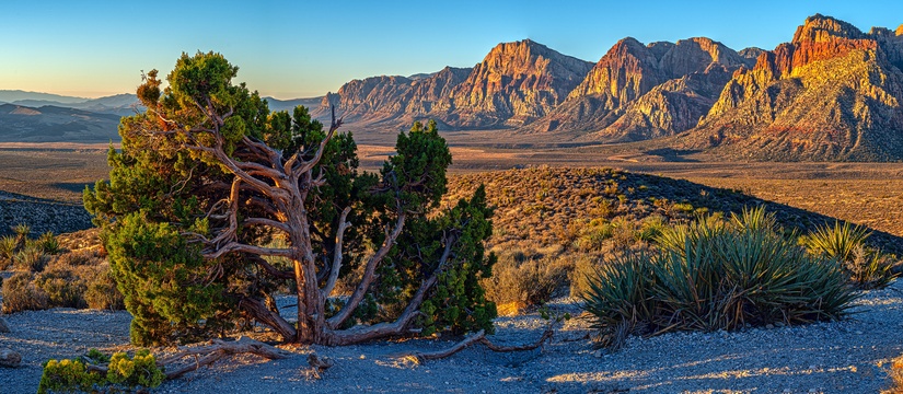 Clark County, Nevada, adopts new short-term rental rules for Airbnb, Vrbo