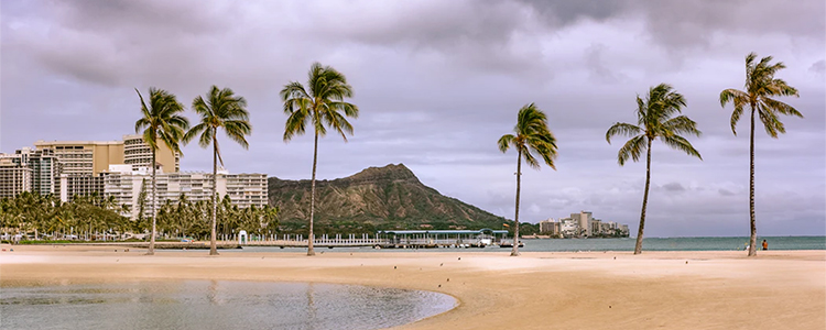 Hawaii tax authorities cracking down on short-term rental operators