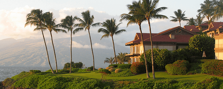 Hawaii home on bluff amid palm trees