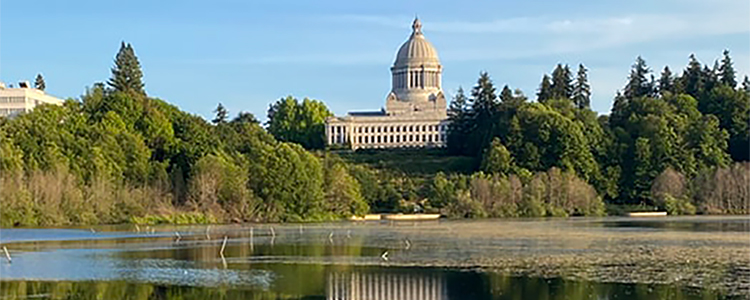 Olympia, Washington, capitol dome