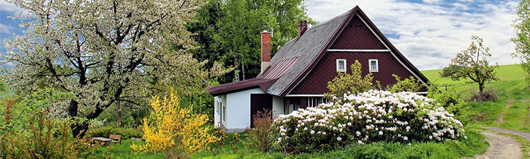 country cottage