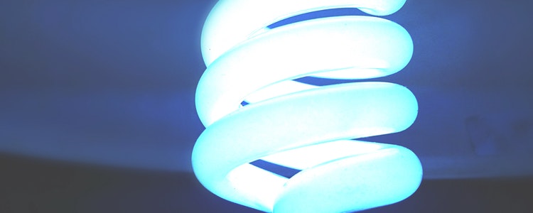  Certain energy-efficient lightbulbs are exempt from Maryland sales tax during the upcoming sales tax holiday.