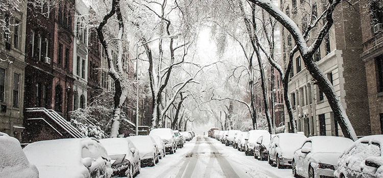New York City in snow