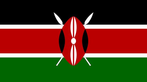 Kenya to reverse VAT cut to 14% for COVID-19