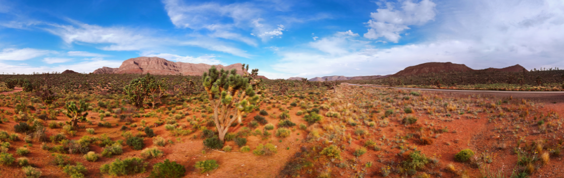 The big-ticket item tax in Phoenix – Wacky Tax Wednesday