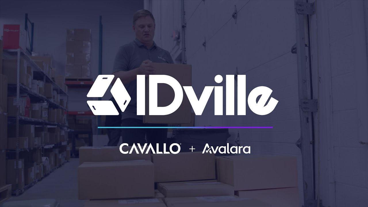 IDVille Testimonial - Avalara Cavallo