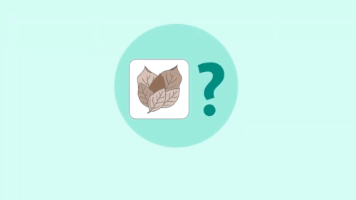 A graphic showing two tobacco leaves and a question mark, representing the question of who pays excise taxes on tobacco products for Avalara AvaTax for Tobacco.